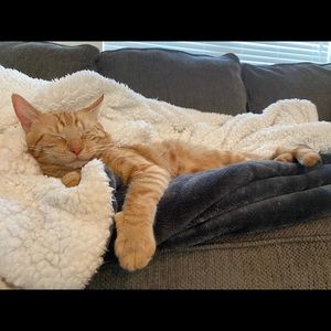 Meet your Posher, Alex